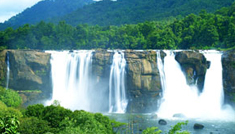 Coimbatore - Parambikulam - Topslip - Coimbatore